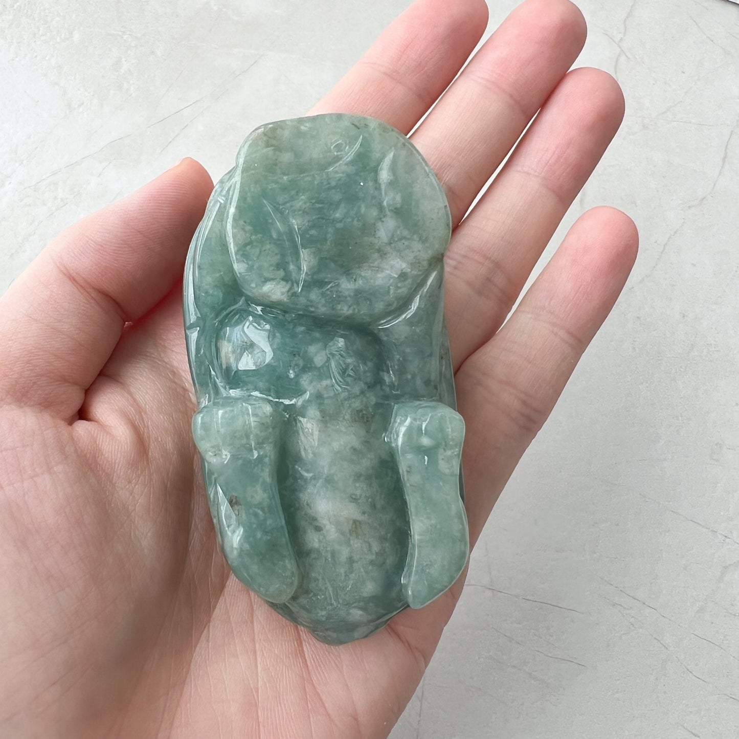 Jadeite Jade Dragon Turtle Chinese Zodiac Hand Carved Feng Shui Ornament, YJ-0921-0061216 - AriaDesignCollection