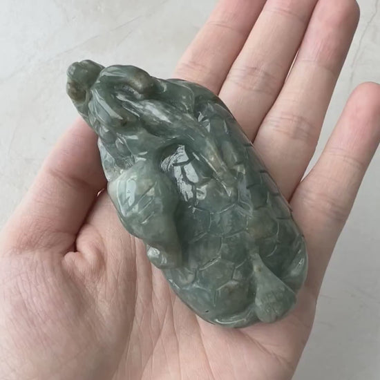 Video of a hand-carved green jadeite jade dragon turtle sculpture with rich color, detailed texture, and bold presence