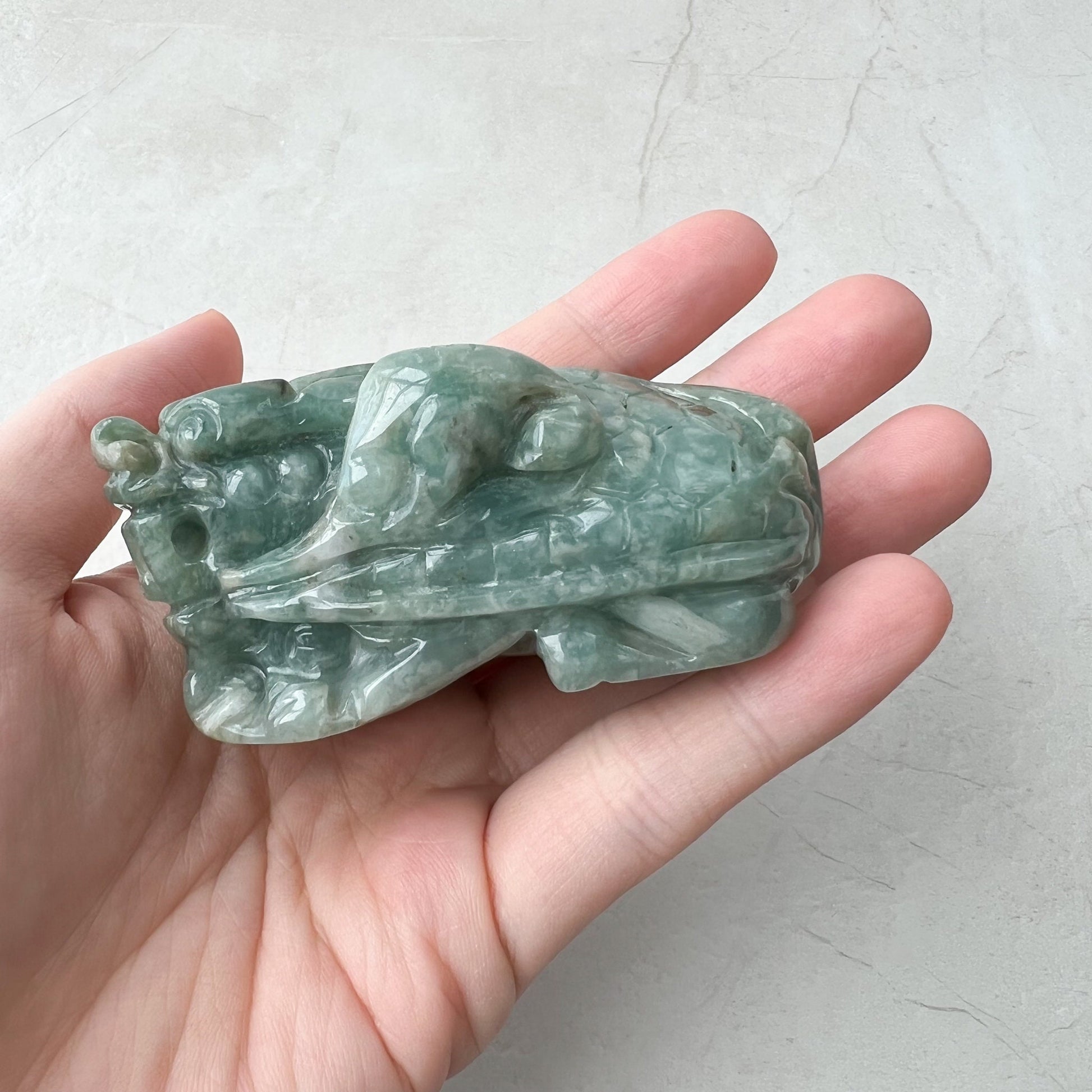 Jadeite Jade Dragon Turtle Chinese Zodiac Hand Carved Feng Shui Ornament, YJ-0921-0061216 - AriaDesignCollection